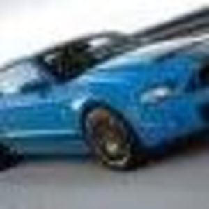 Meet your Posher, Dakota